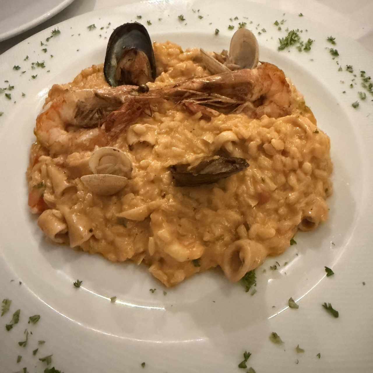 Meloso de Mariscos (1Persona)