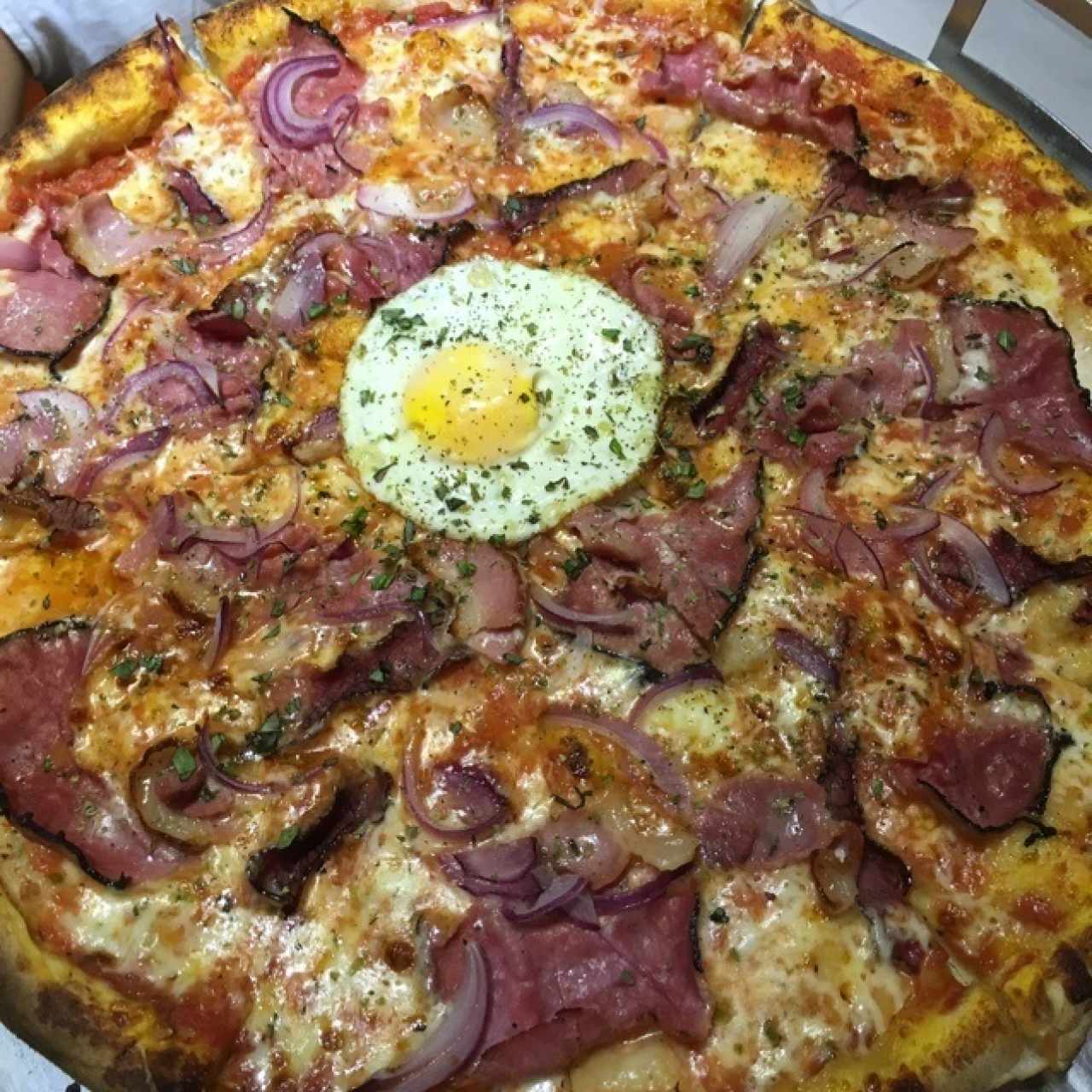 Pizzas Especiales - Jungle 14$-28$