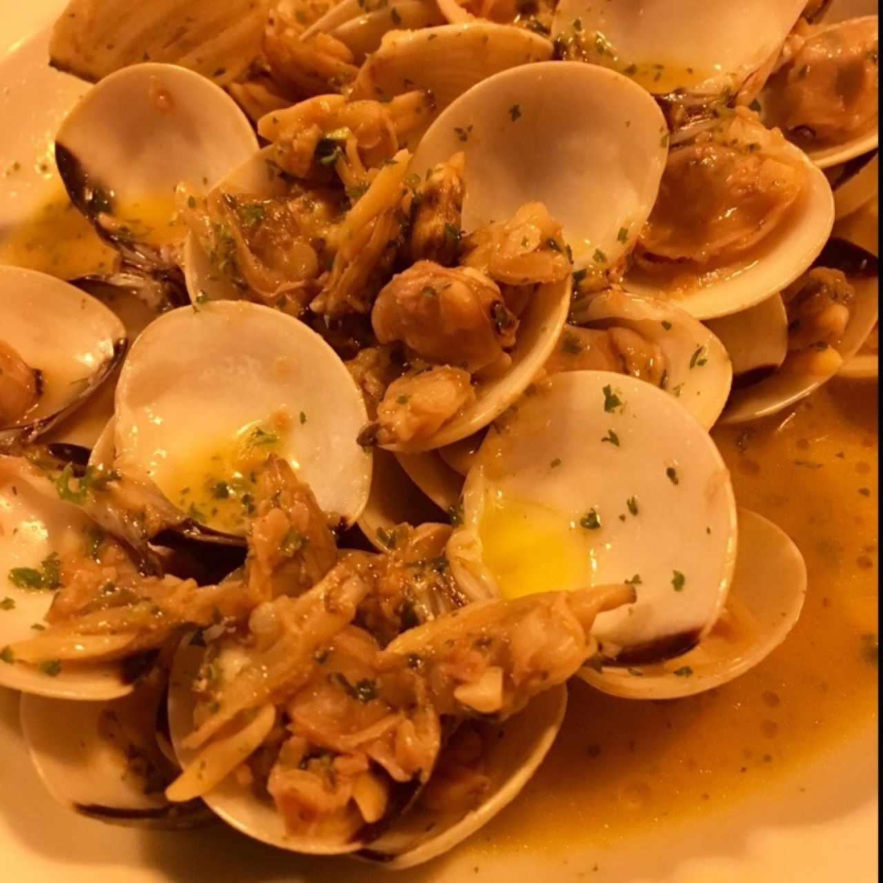 Almejas 