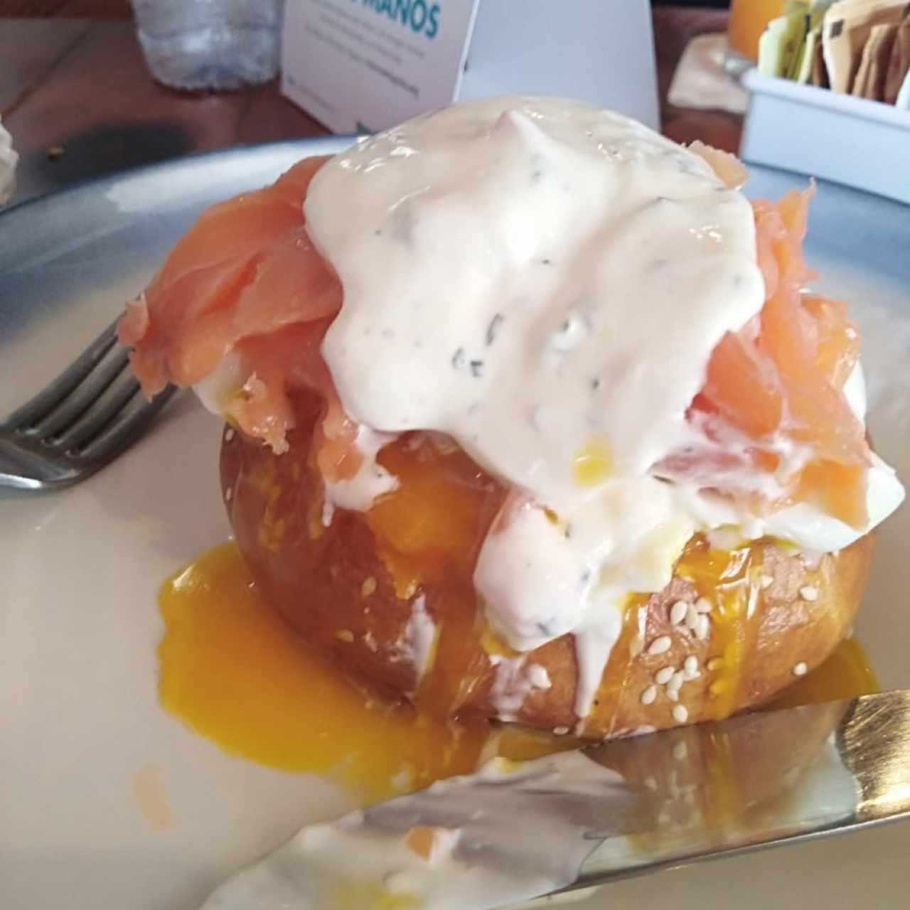Bagel Salmon
