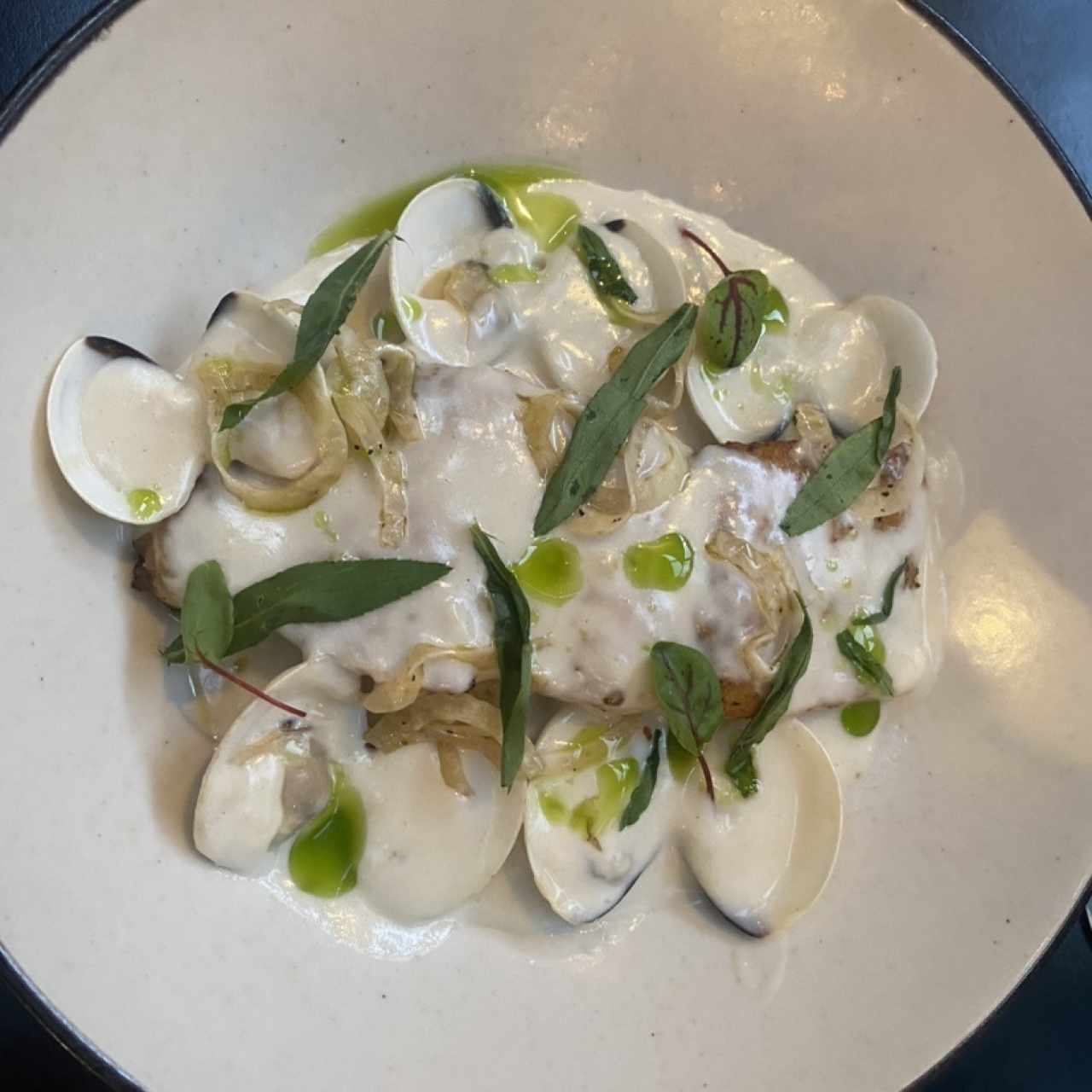 Pesca del día - Corvina
