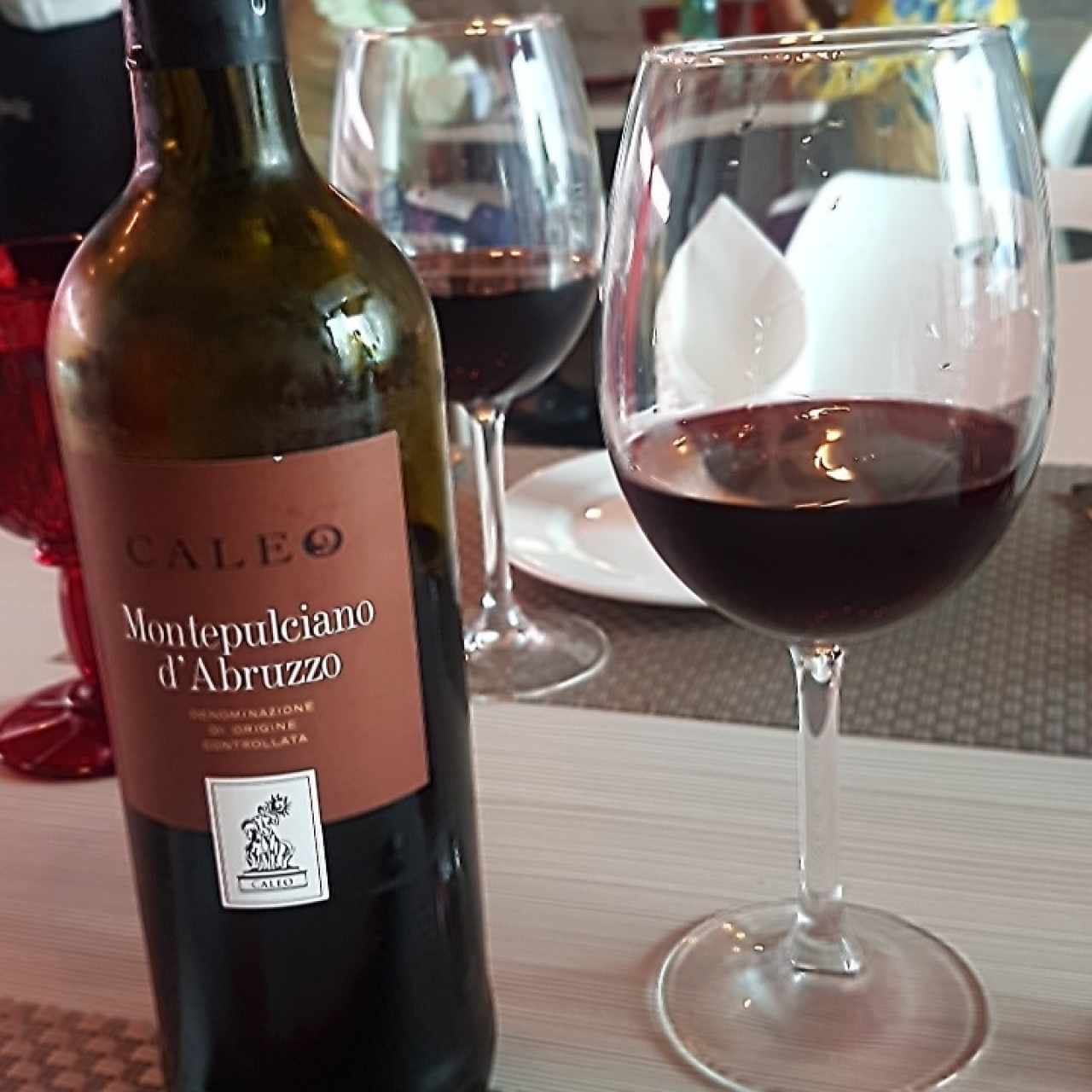 excelente vino de la casa