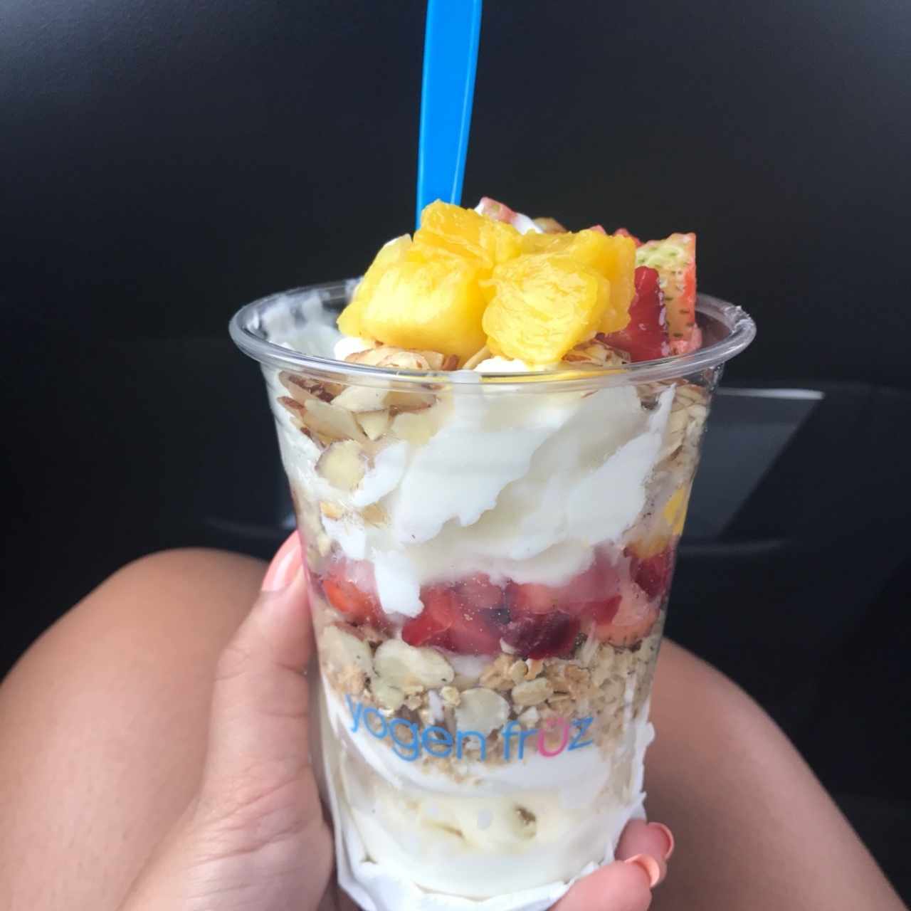 parfait con mis frutas y semillas favoritas