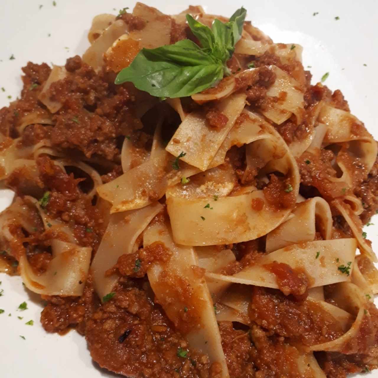 boloña