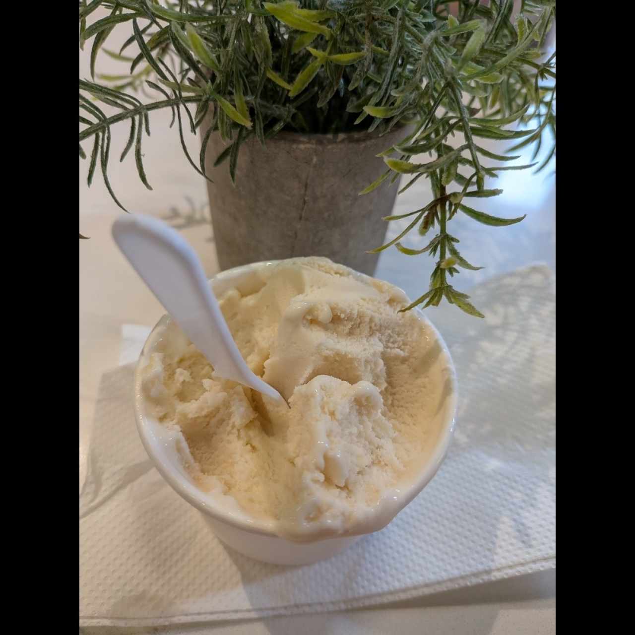 gelato