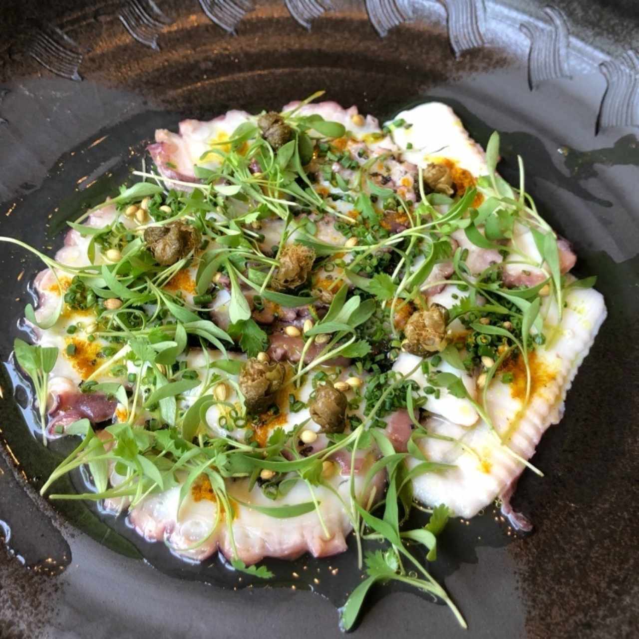 Octopus Nidako 