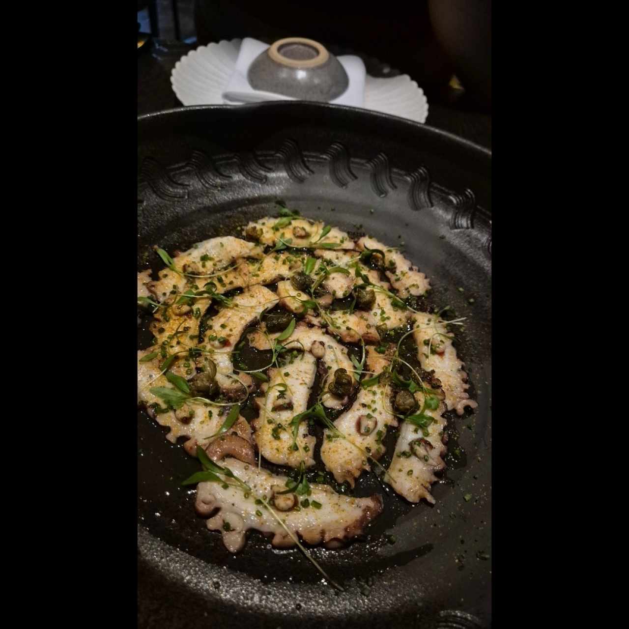 COLD - OCTOPUS NIDAKO