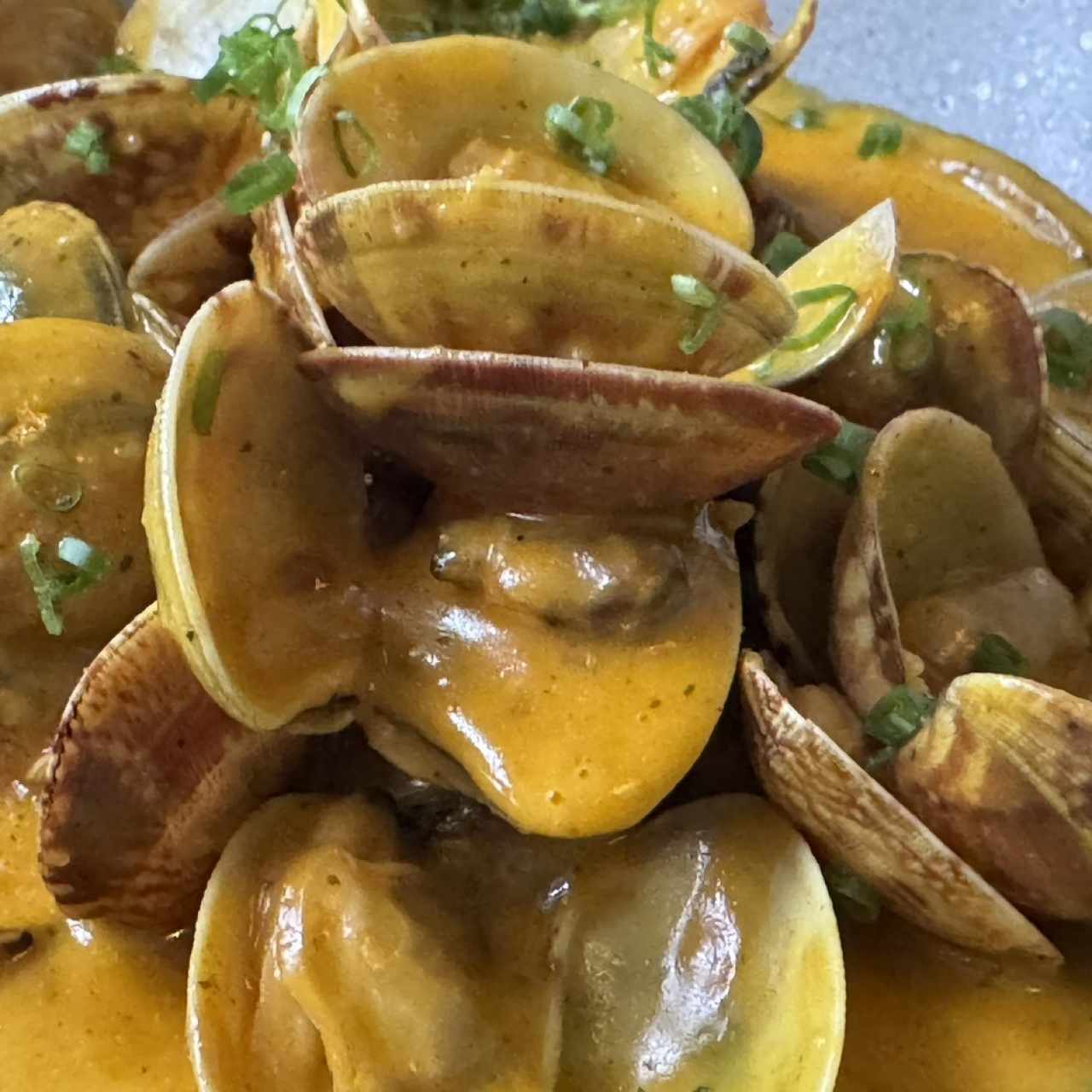 Las Almejas de la Tapa