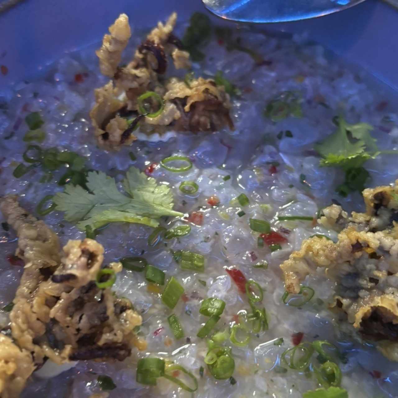 Porciones Pequeñas - Ceviche de Mercao