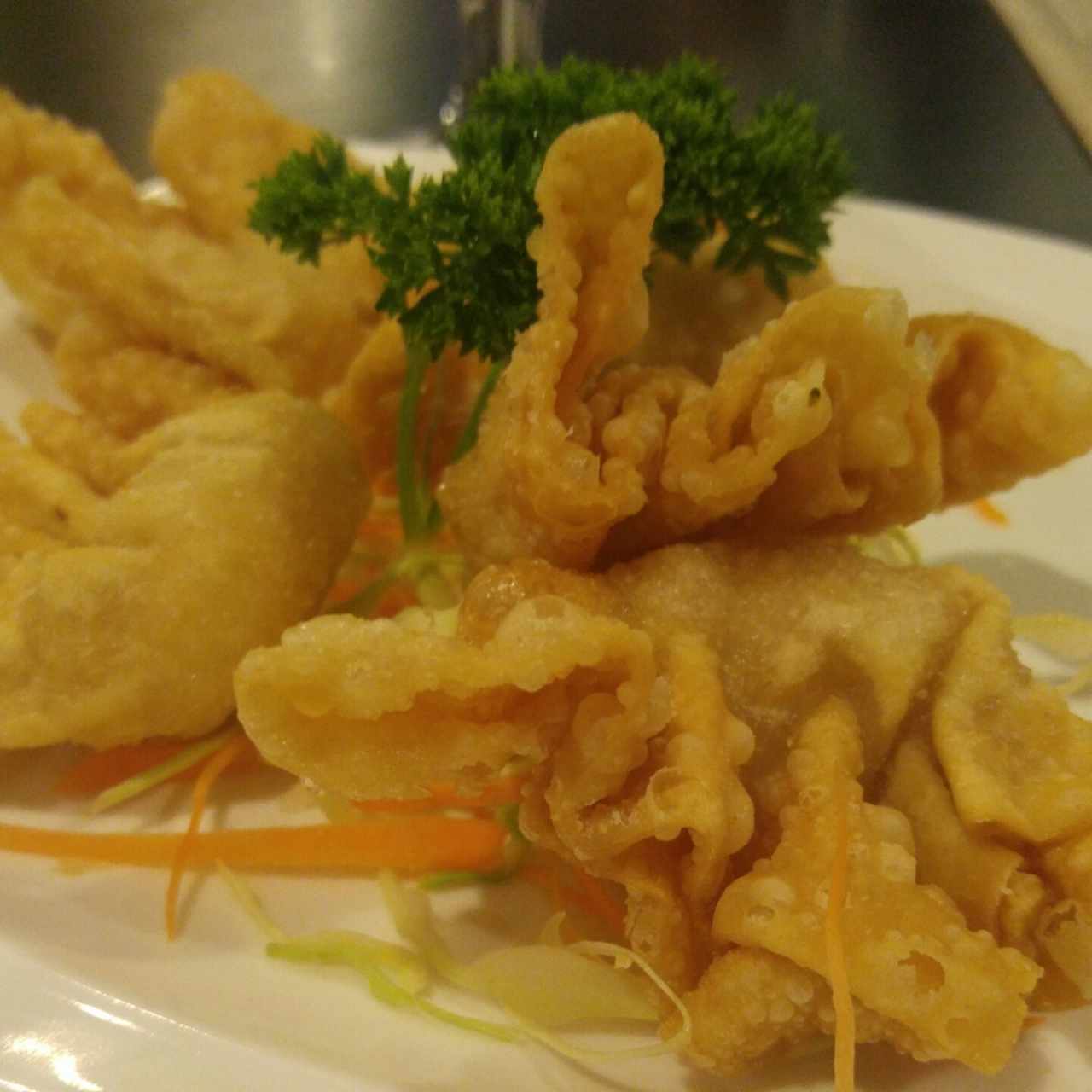Entradas - Wanton frito