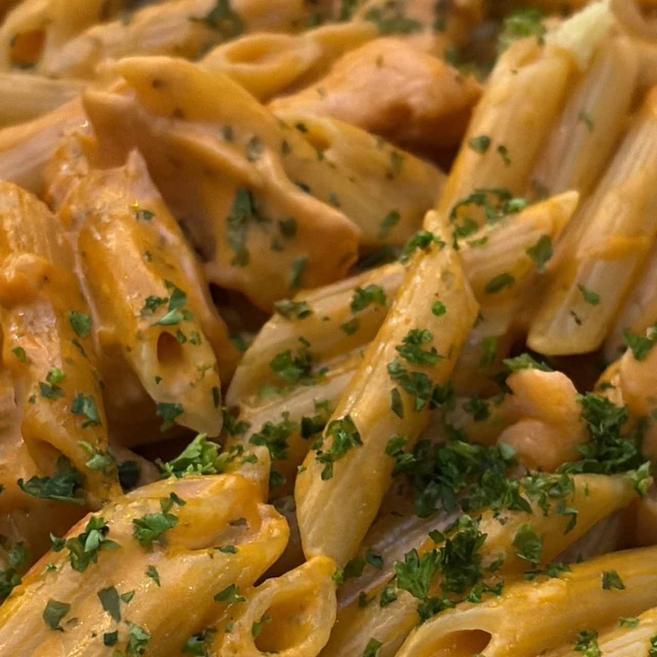 Penne con salmon y peccorino