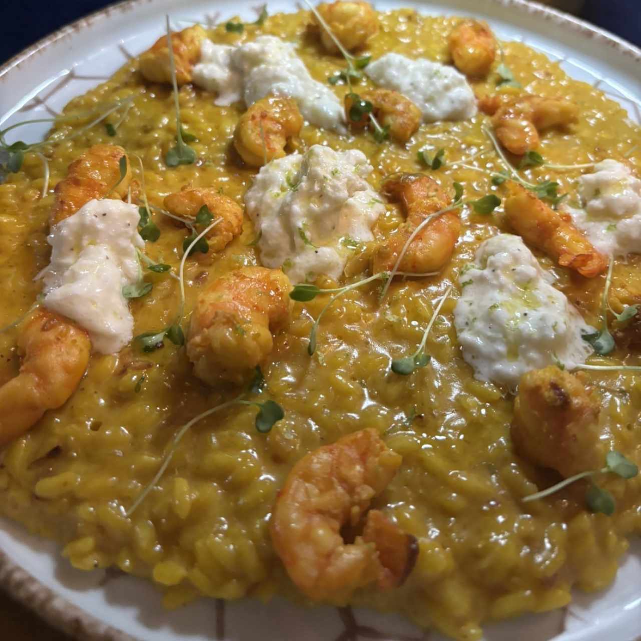 Risotto Dorato