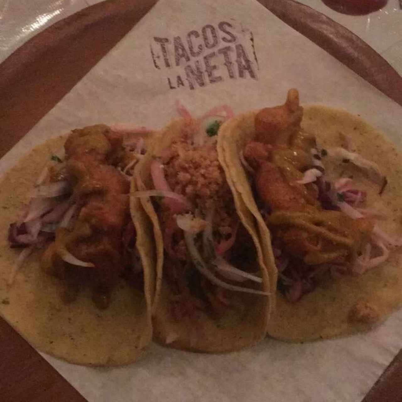 tacos de pescado y cochinita pibil