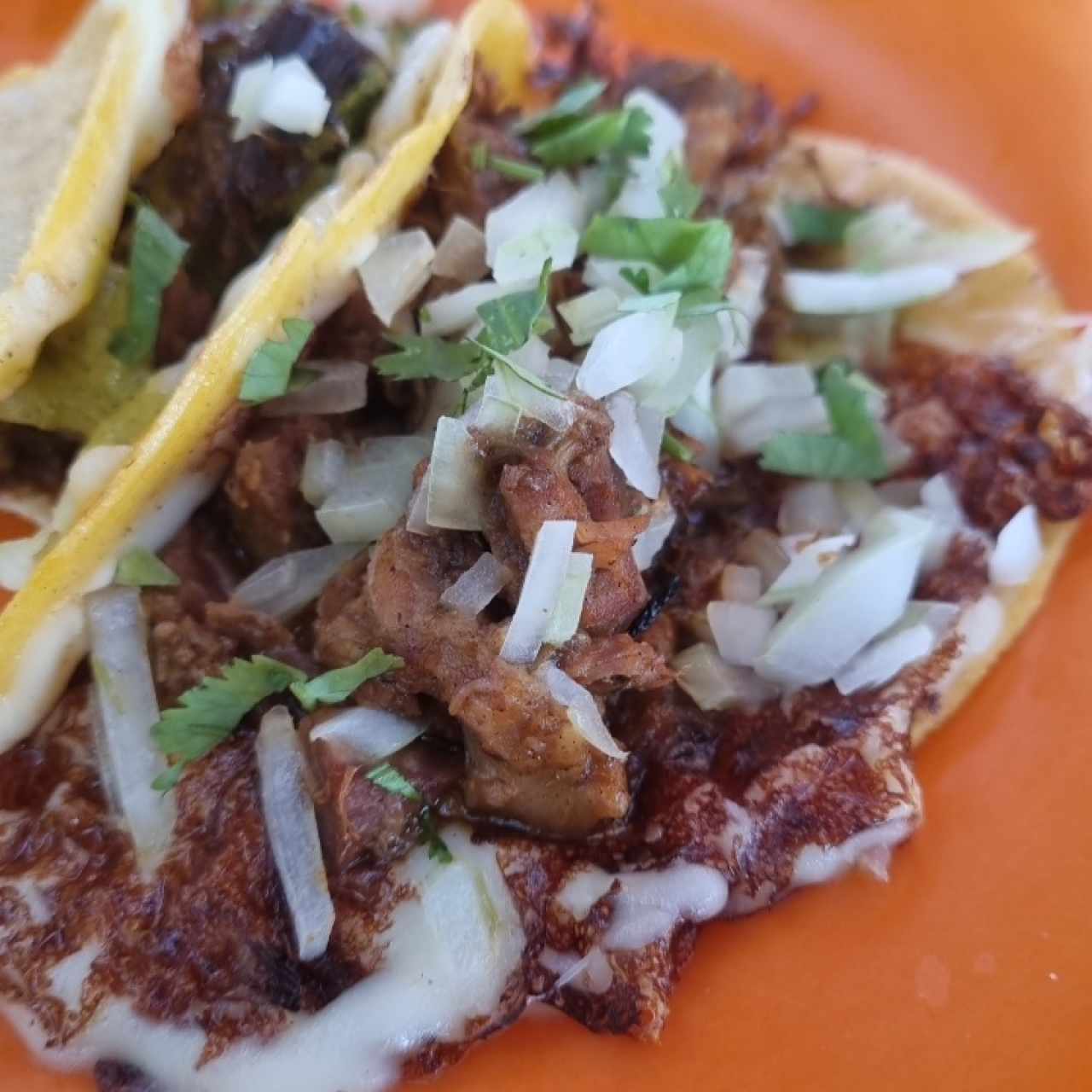 4 TACOS POR $10 - Carnita