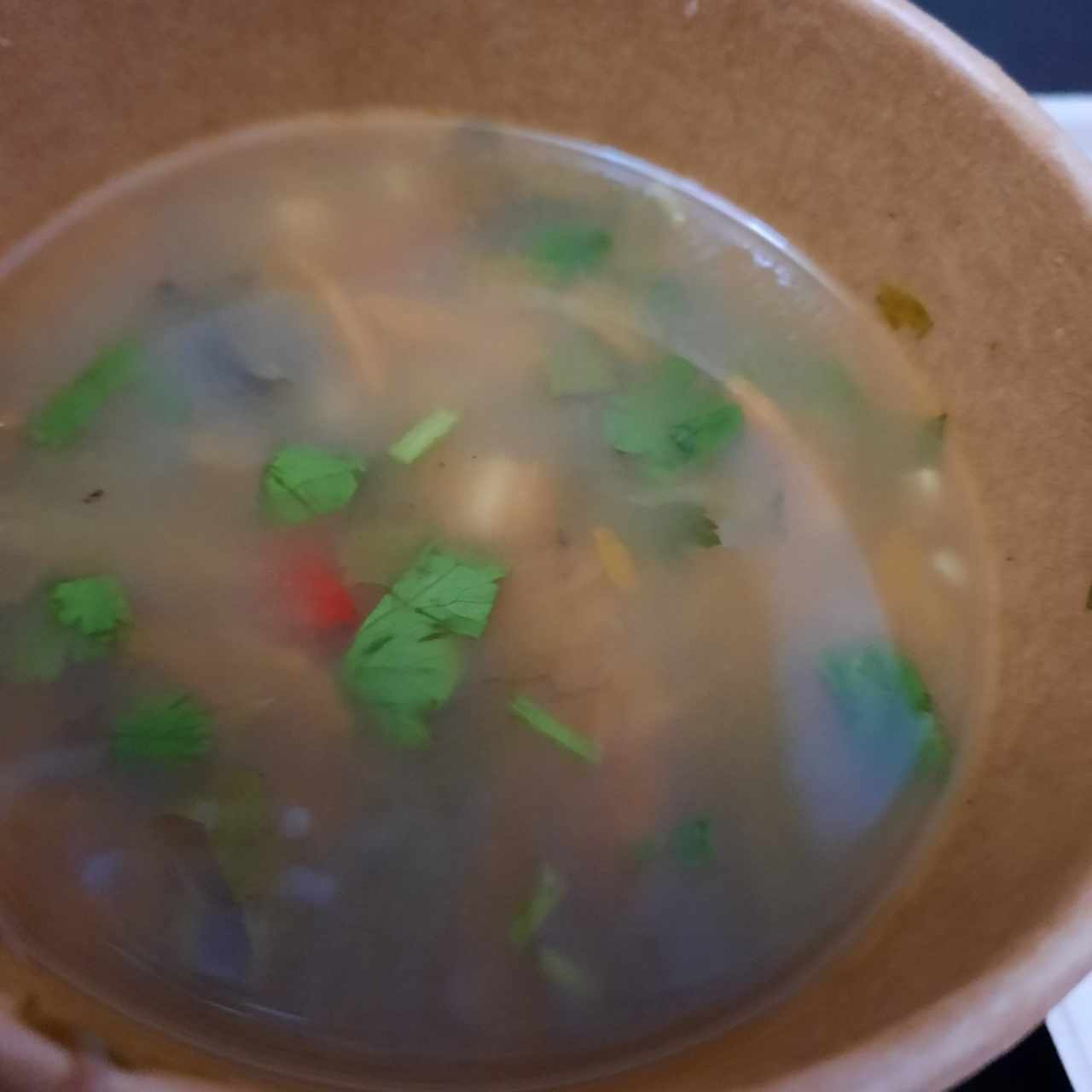sopa de lentejas 