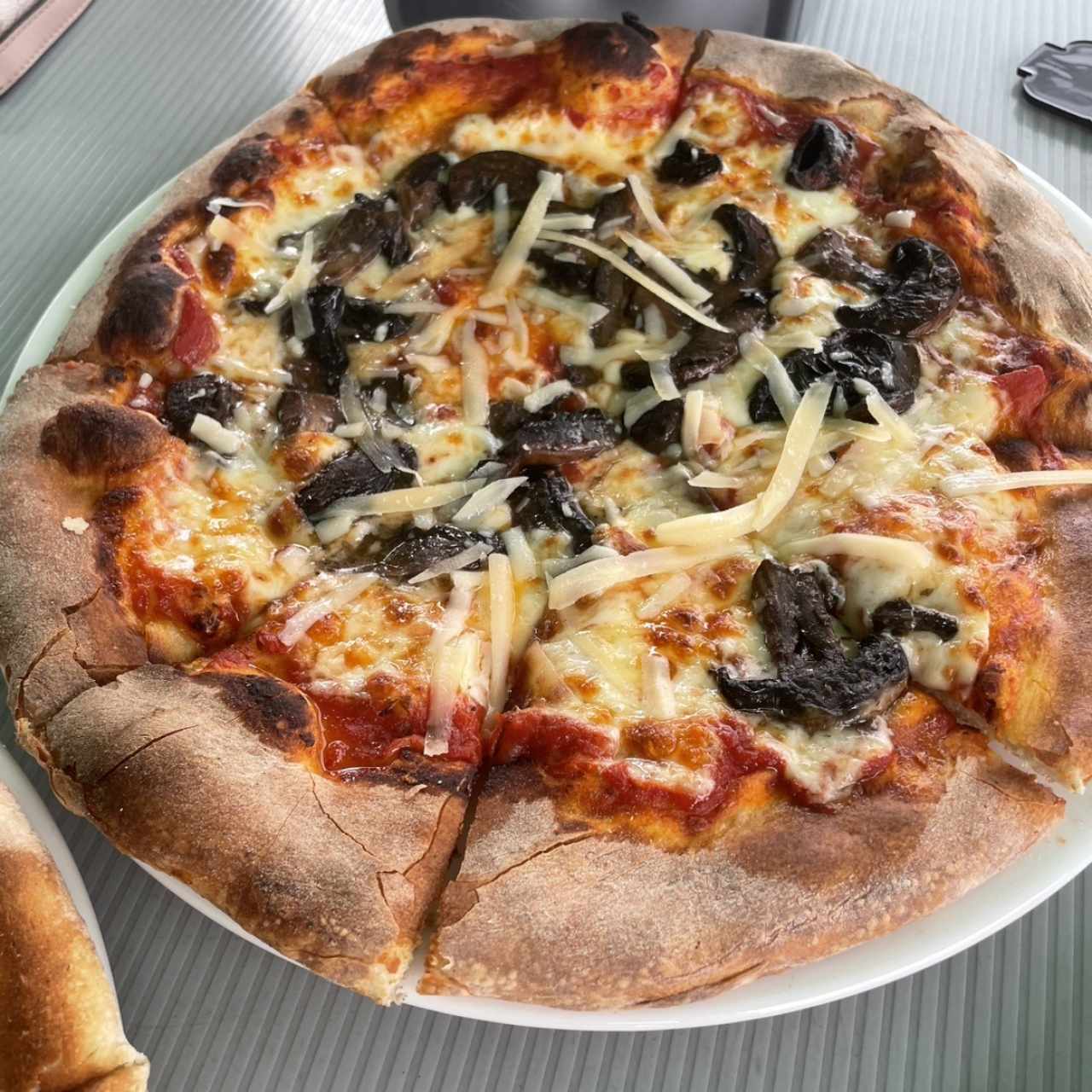 Mixta de Hongos