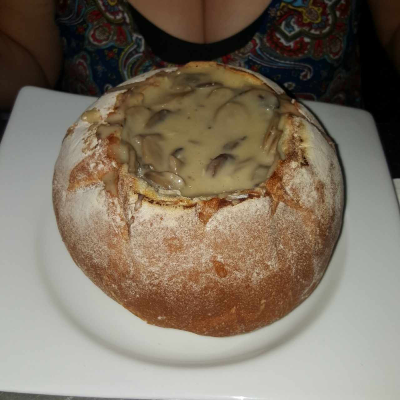 pane Cook 