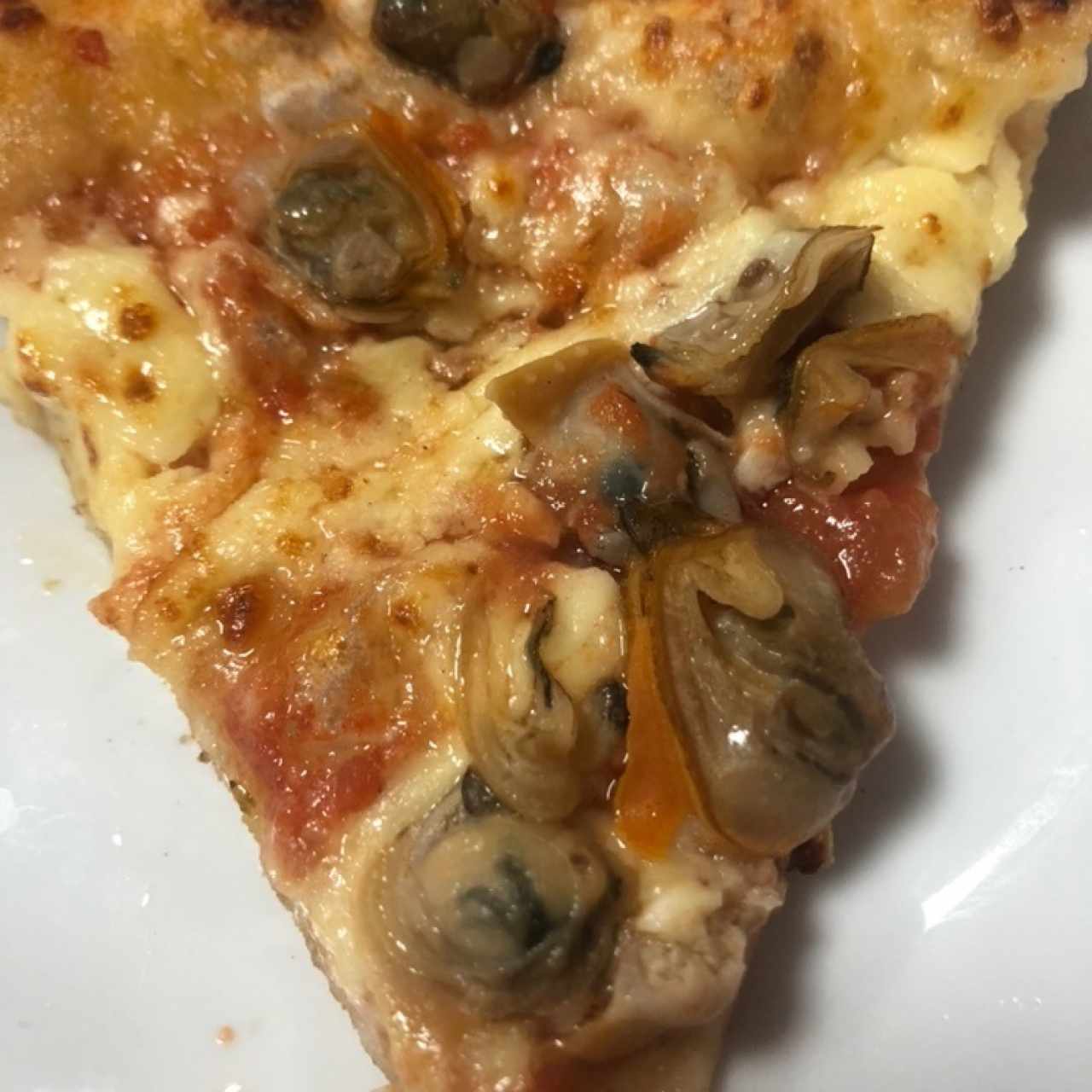 pizza de almeja 
