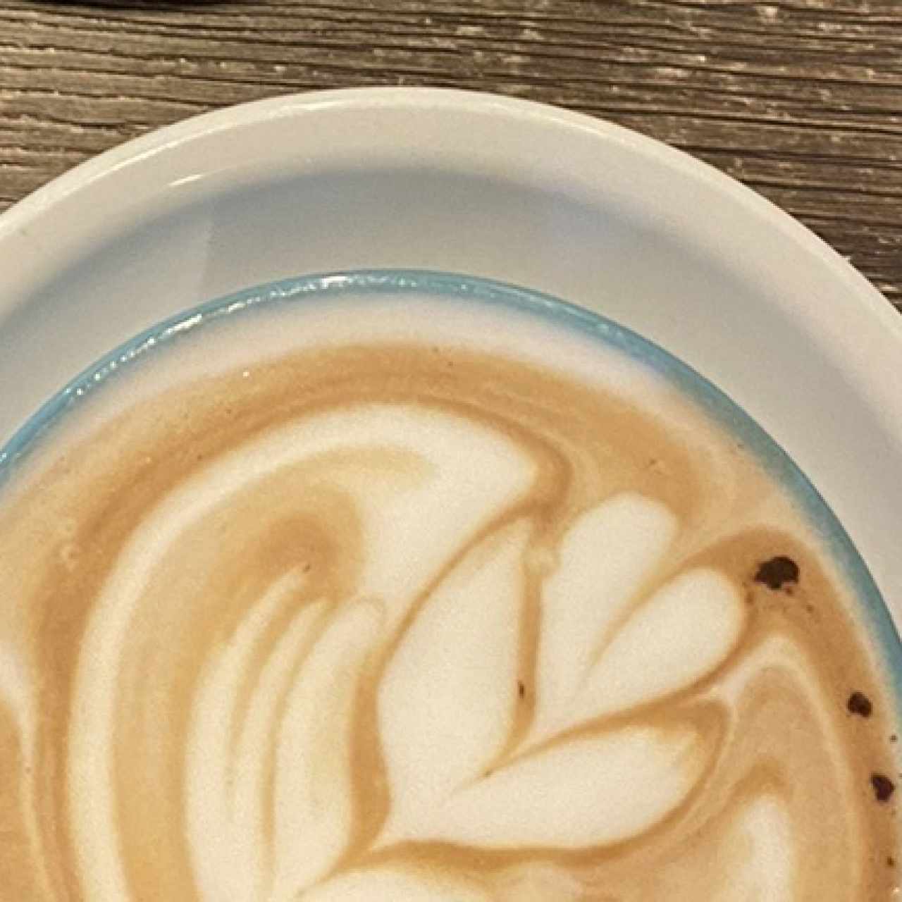 Mocaccino 