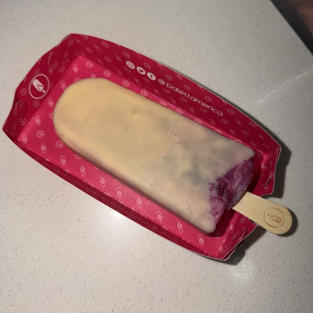Paletta Yogurt frutos del Bosque