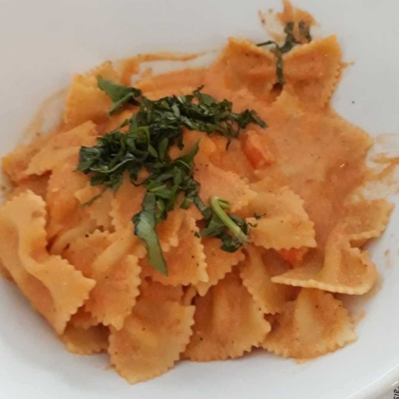 Farfalle con salsa rosada, albahaca y camarones