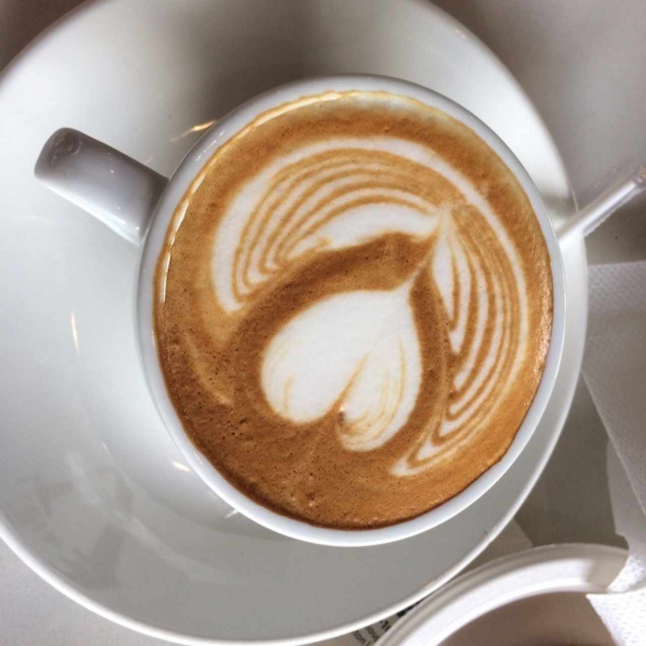 capuccino