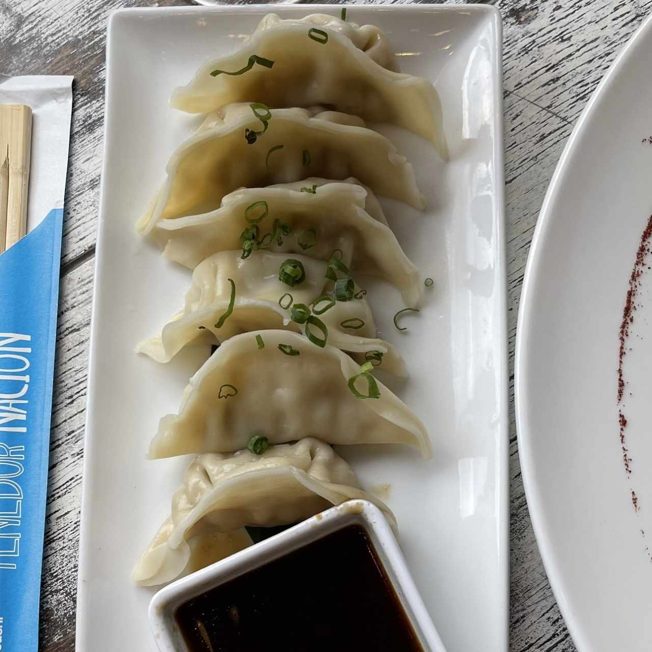Tentadoras Entradas - Gyozas Mixtas