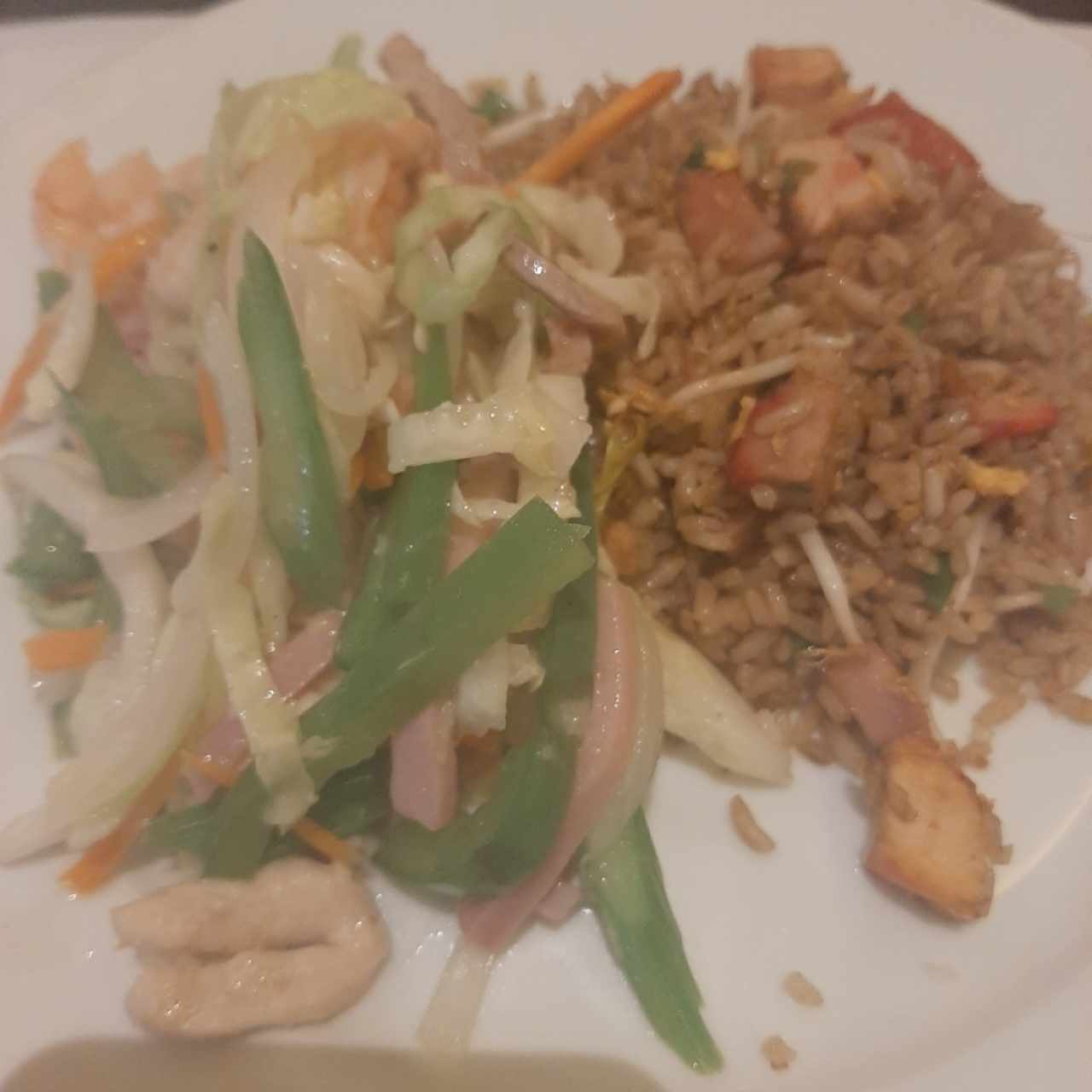 20 - Chop Suey Especial (pollo, puerco, jamón, camarones) y Especial de arroz frito 