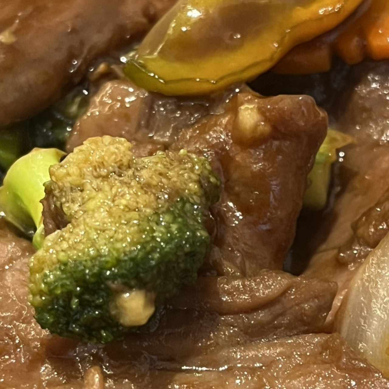 40. carne salsa Ostión