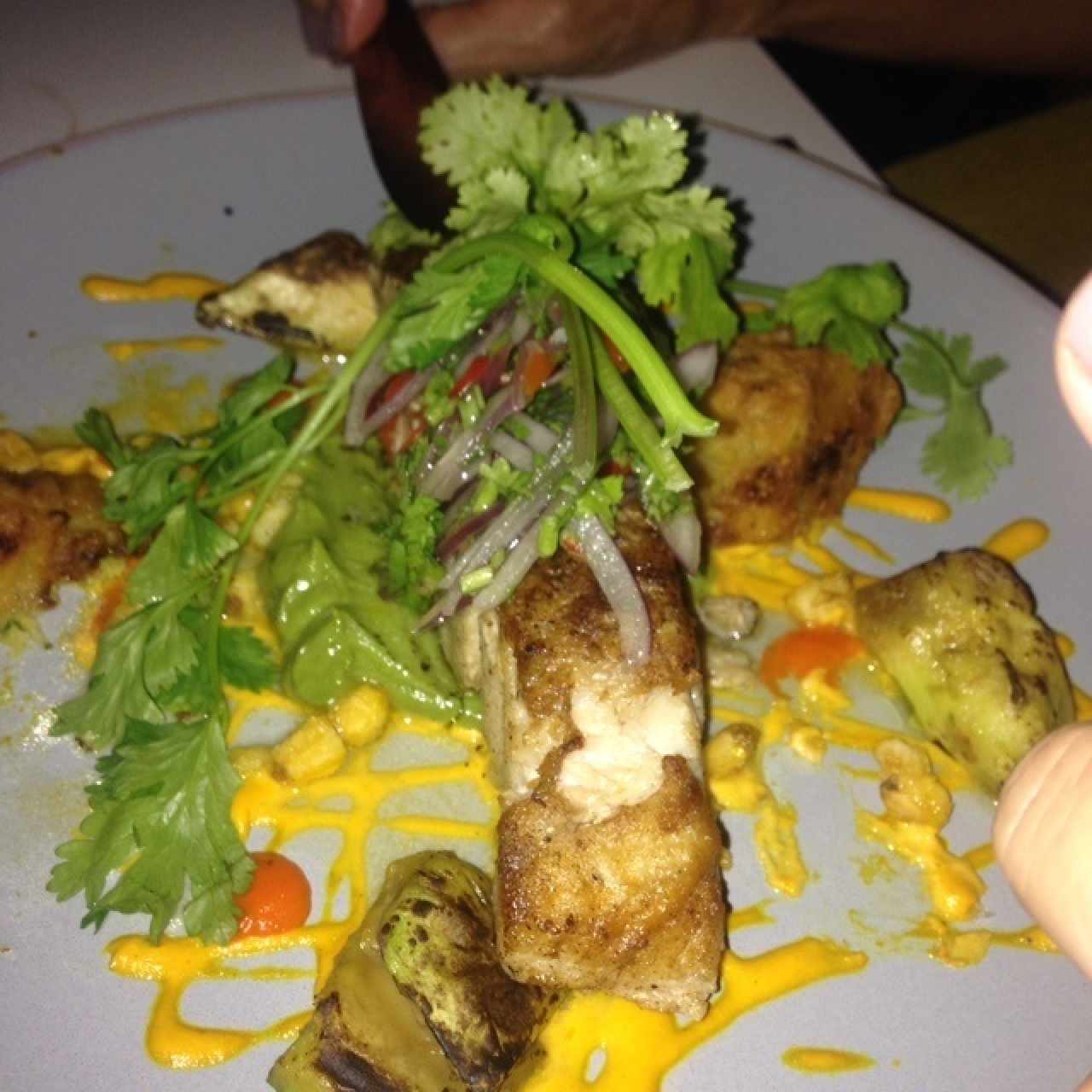corvina