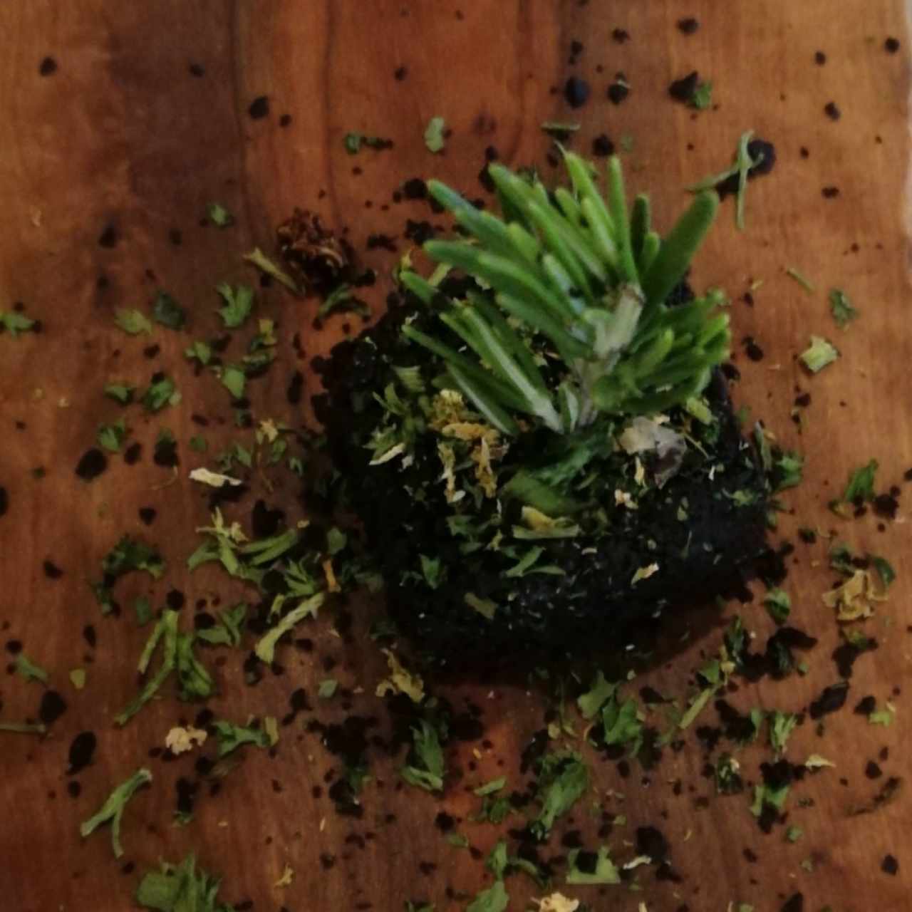 Mantequilla de la casa 