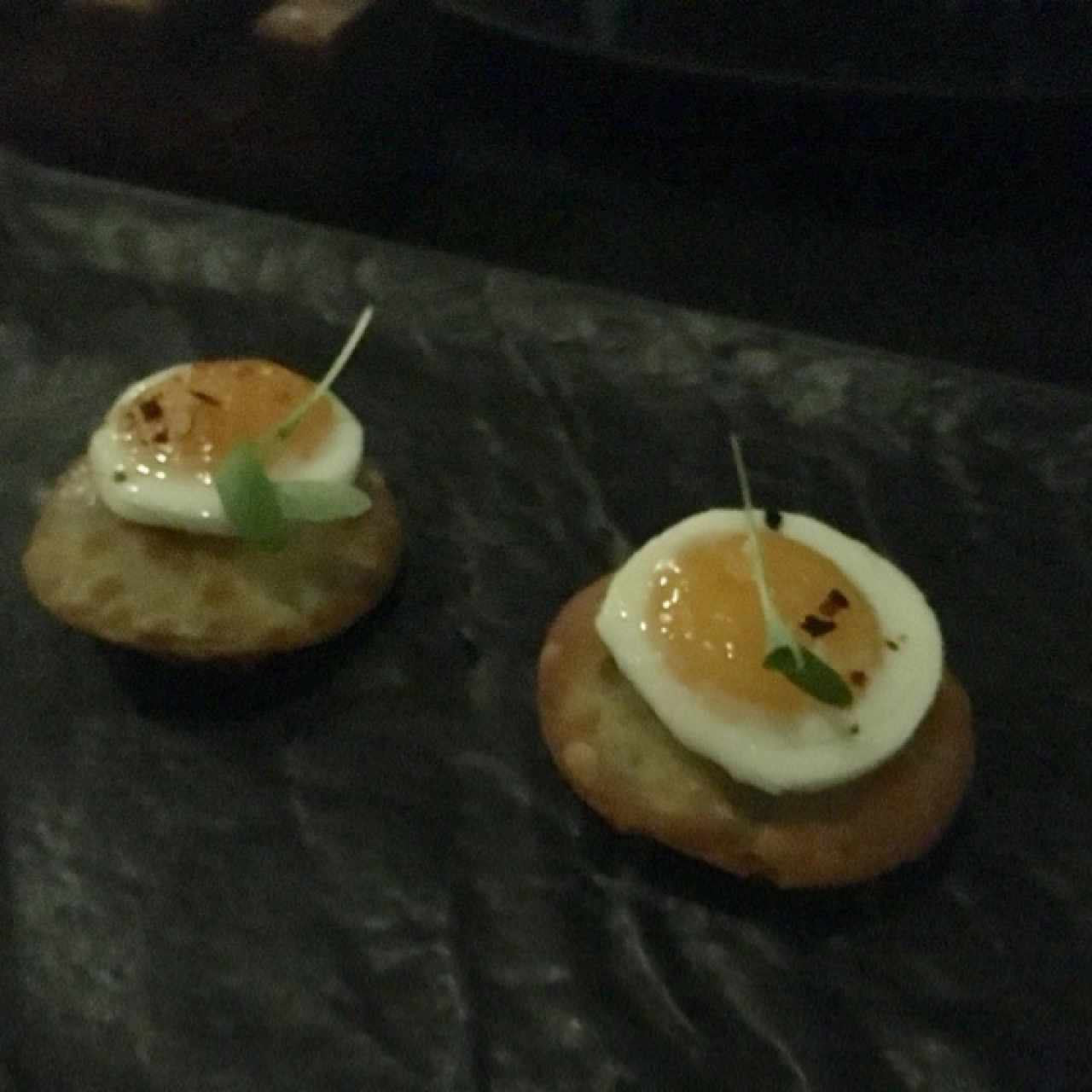 osobuco dumplings