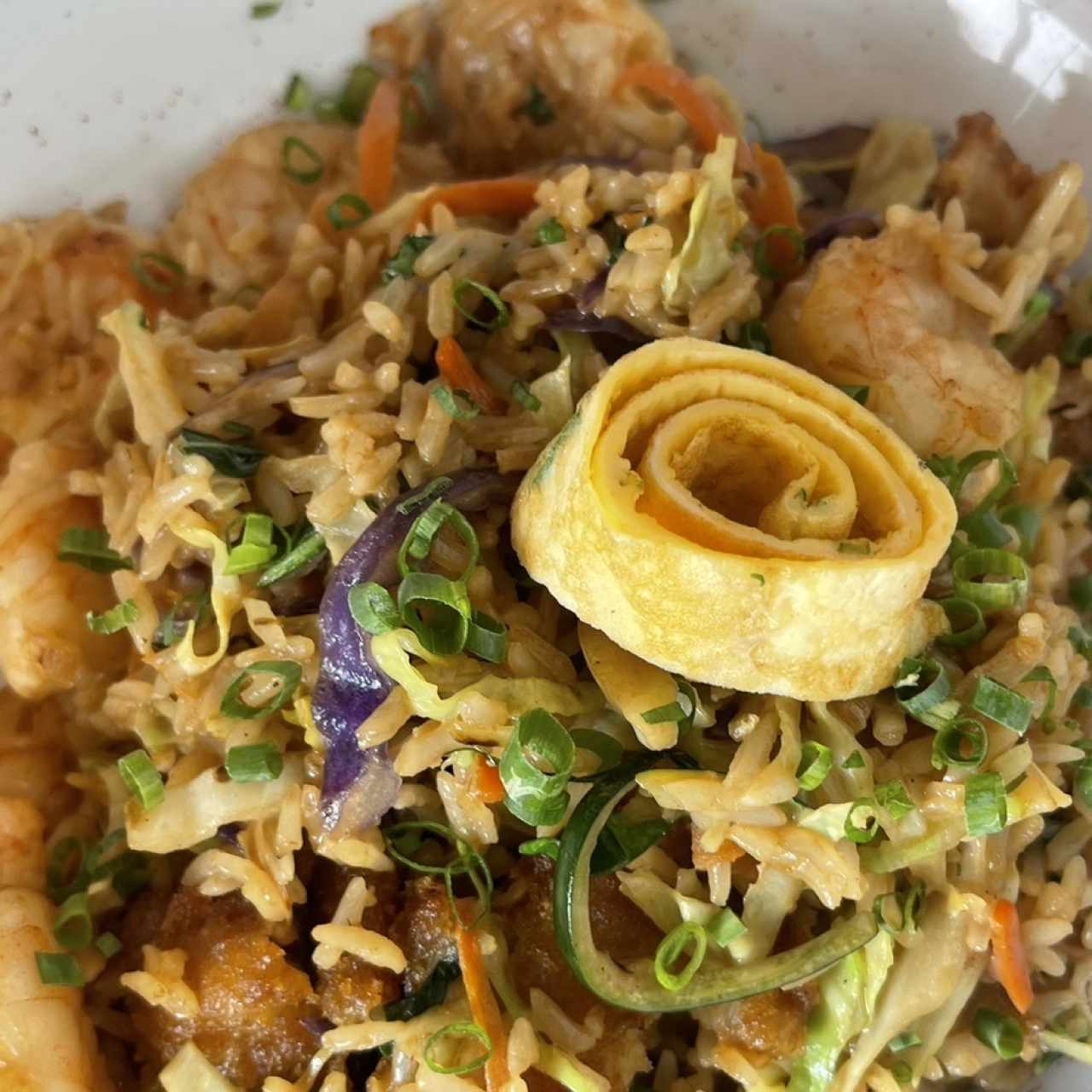 Arroz Cantonés con Cerdo