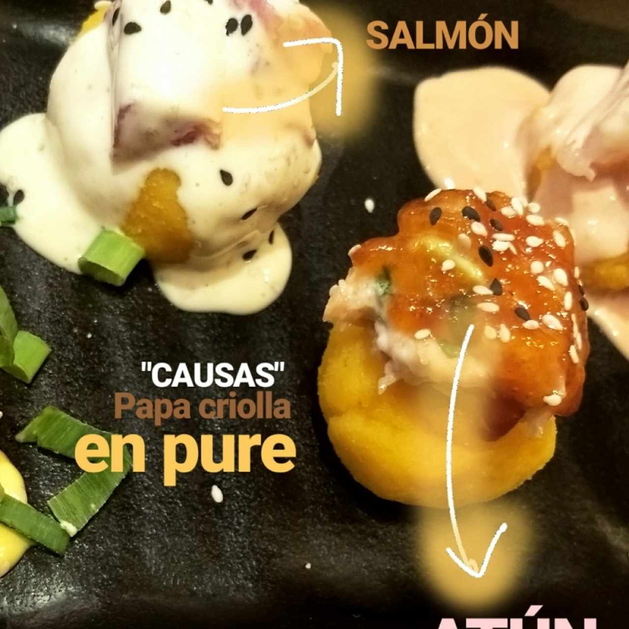 Plato de Causas