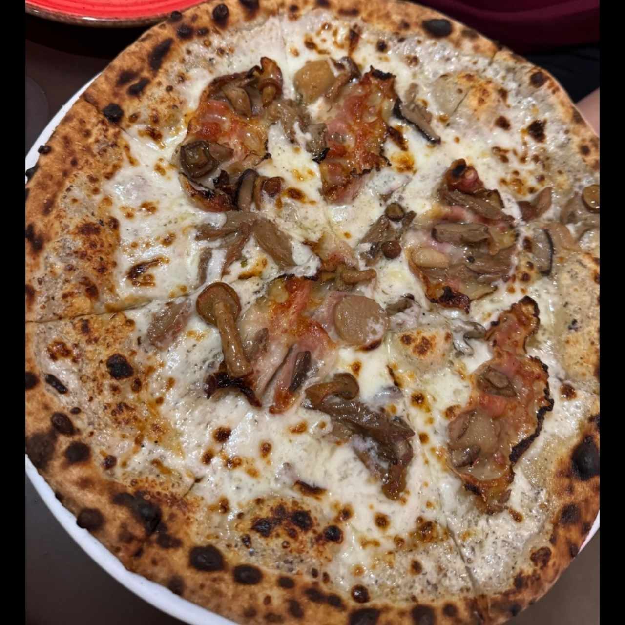 pizza de hongos y trufa en salsa blanca 