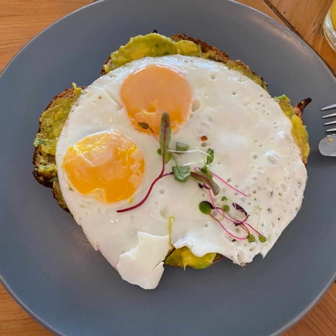 TOSTADAS - AGUACATADAS