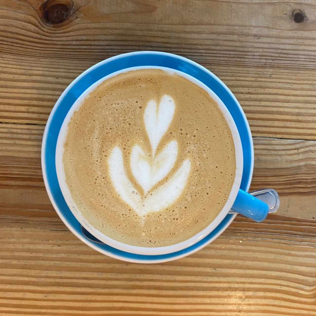 CAPPUCCINO / LATTE GRANDE