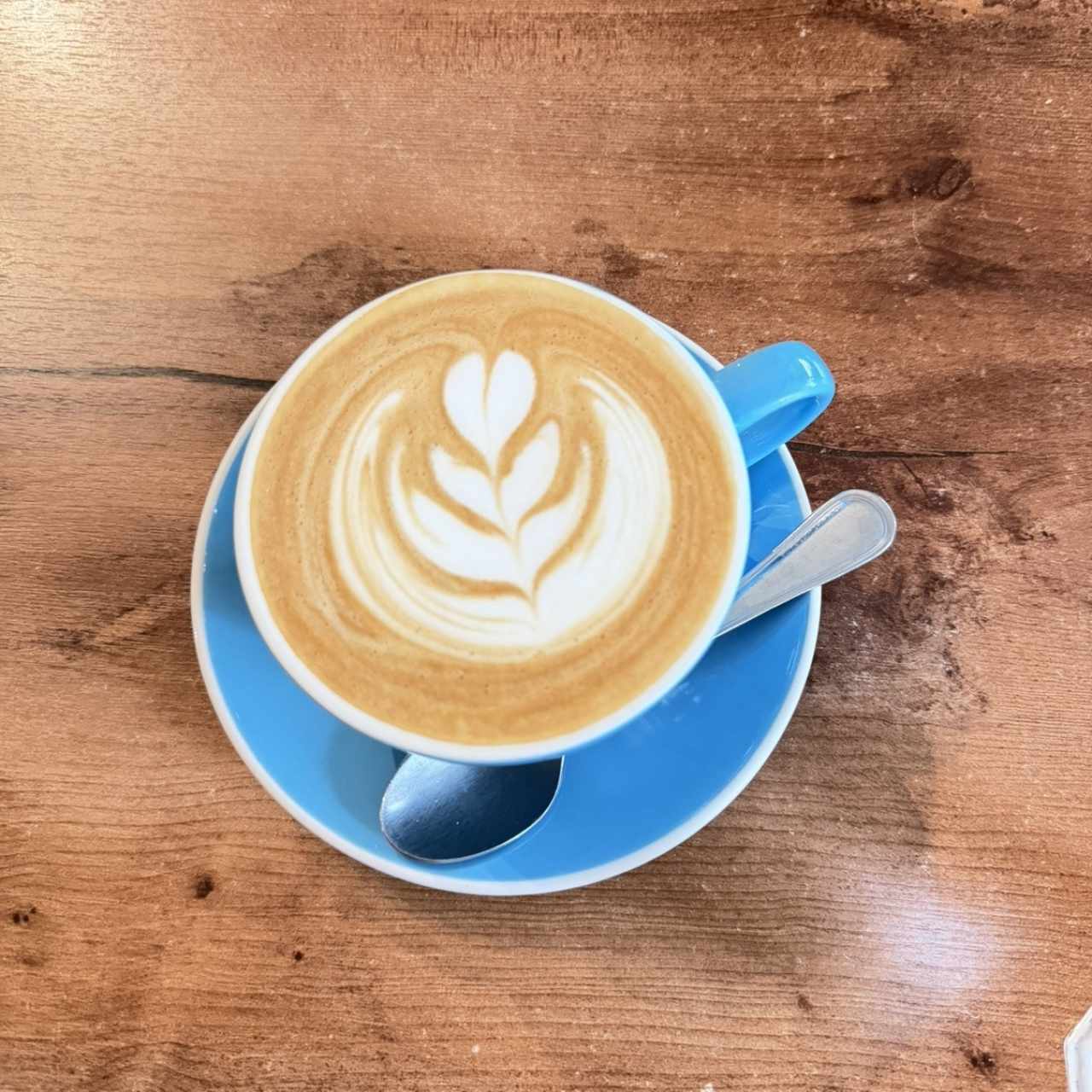 Capuccino
