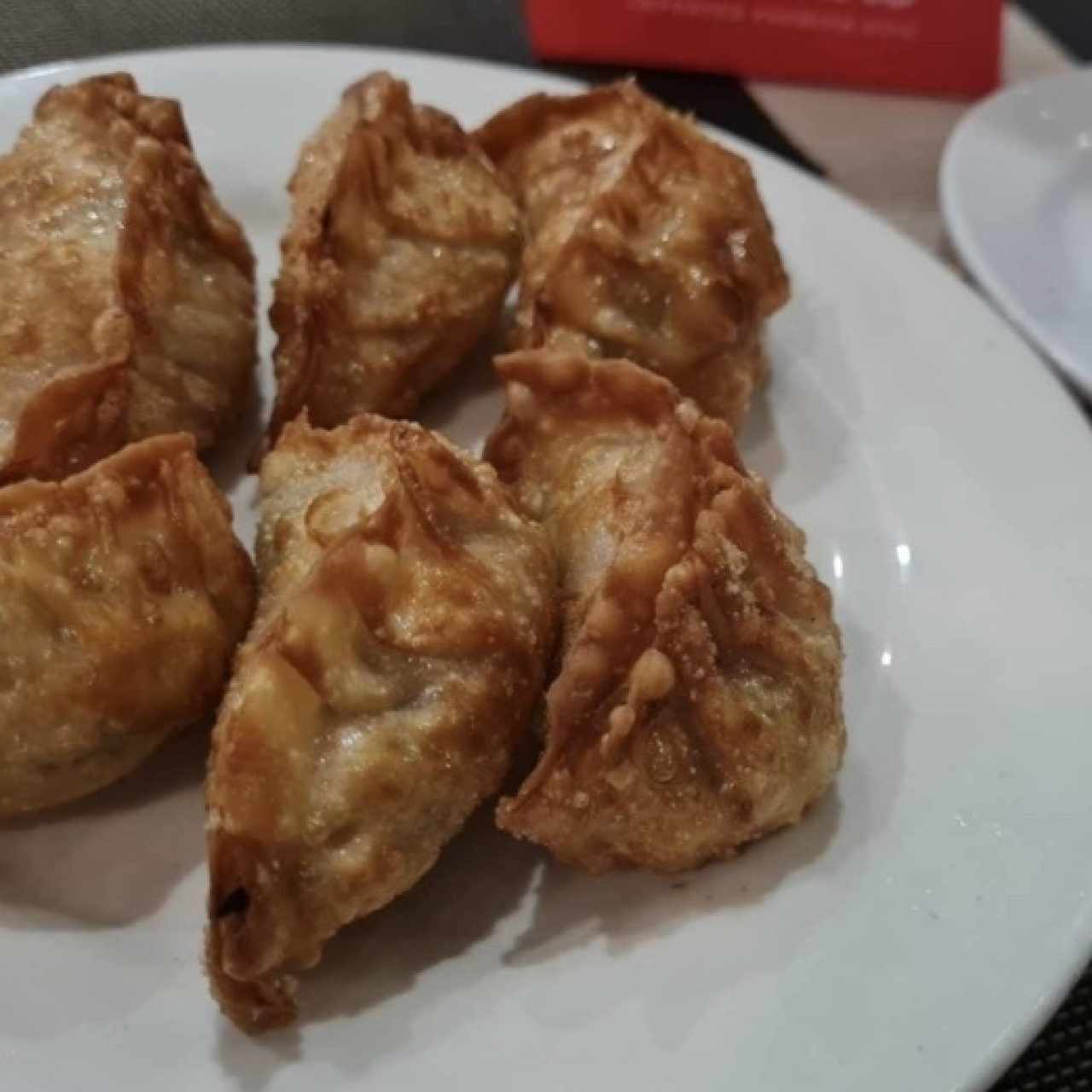 ENTRADAS - EMPANADAS CHINAS
