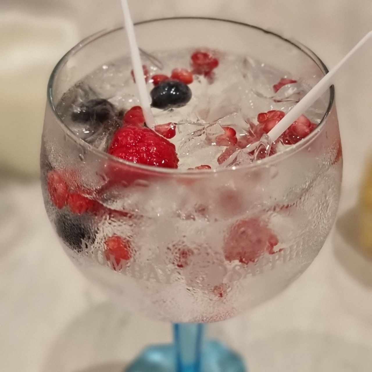 Gin con Frutos Rojos
