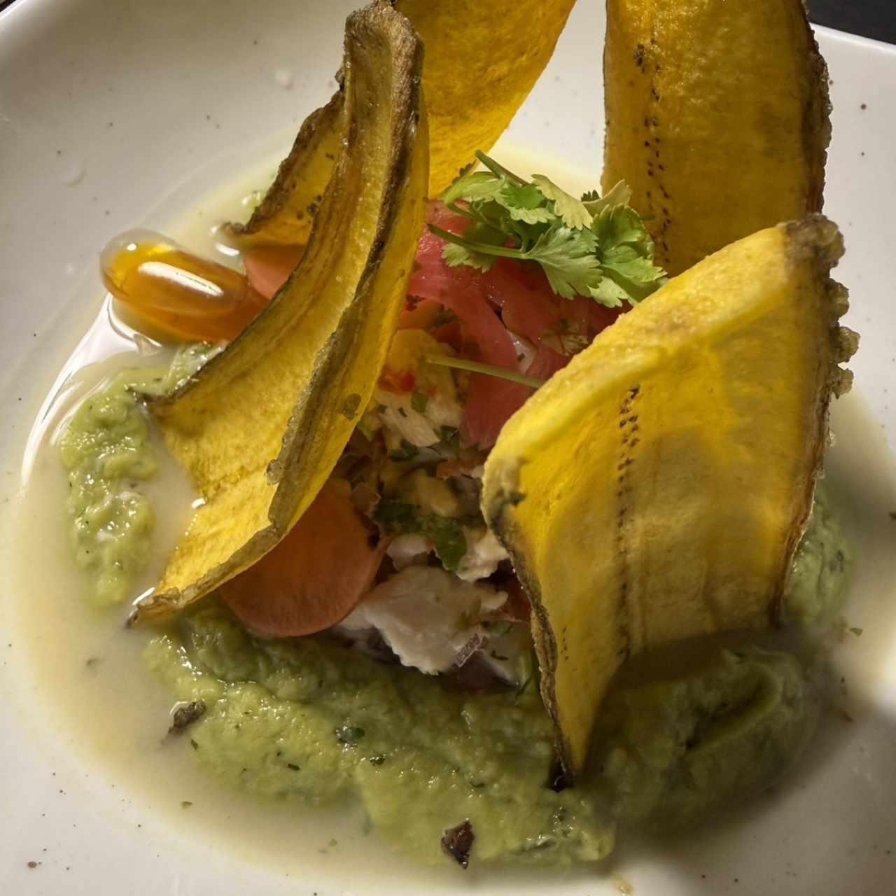 Ceviche 