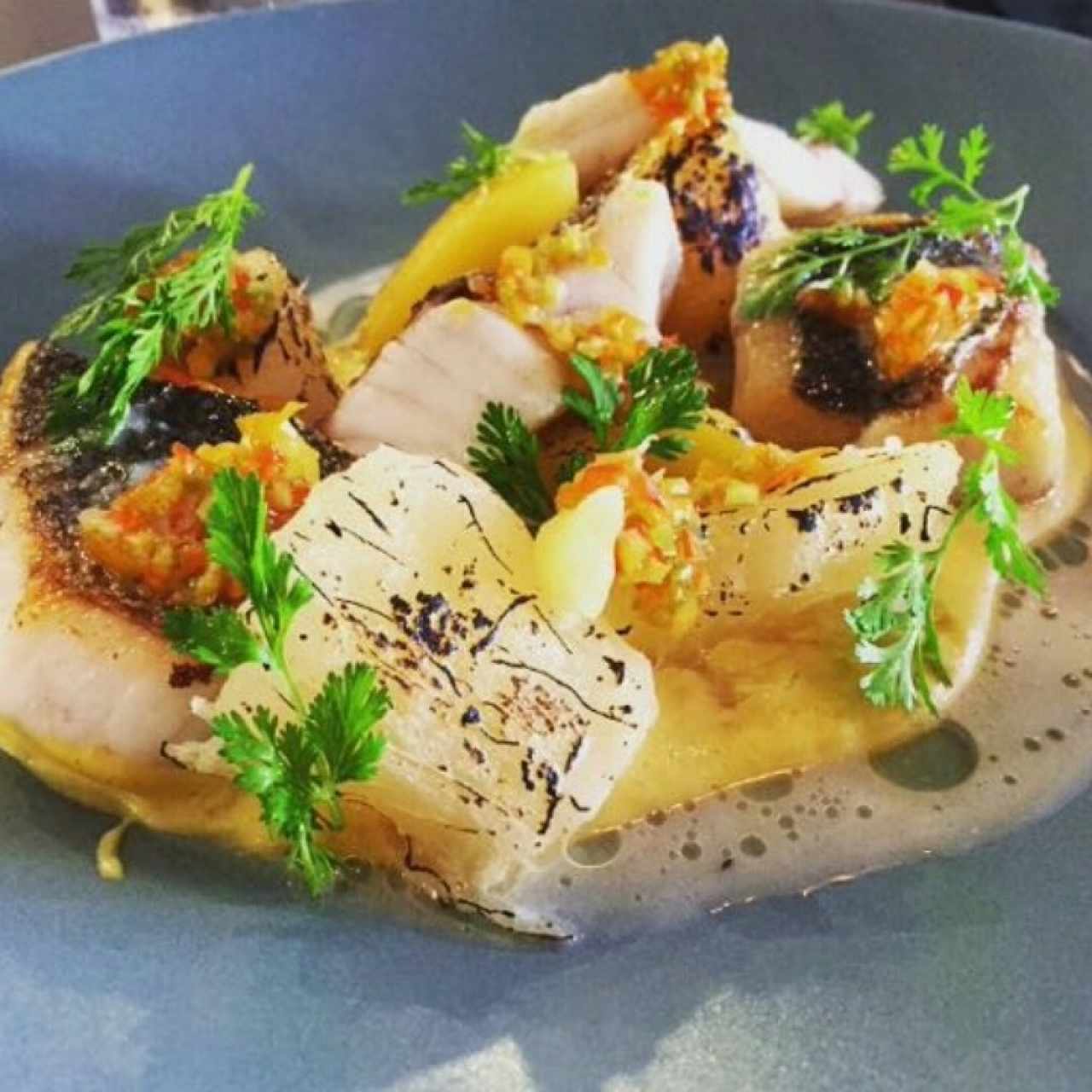 fish and Roots