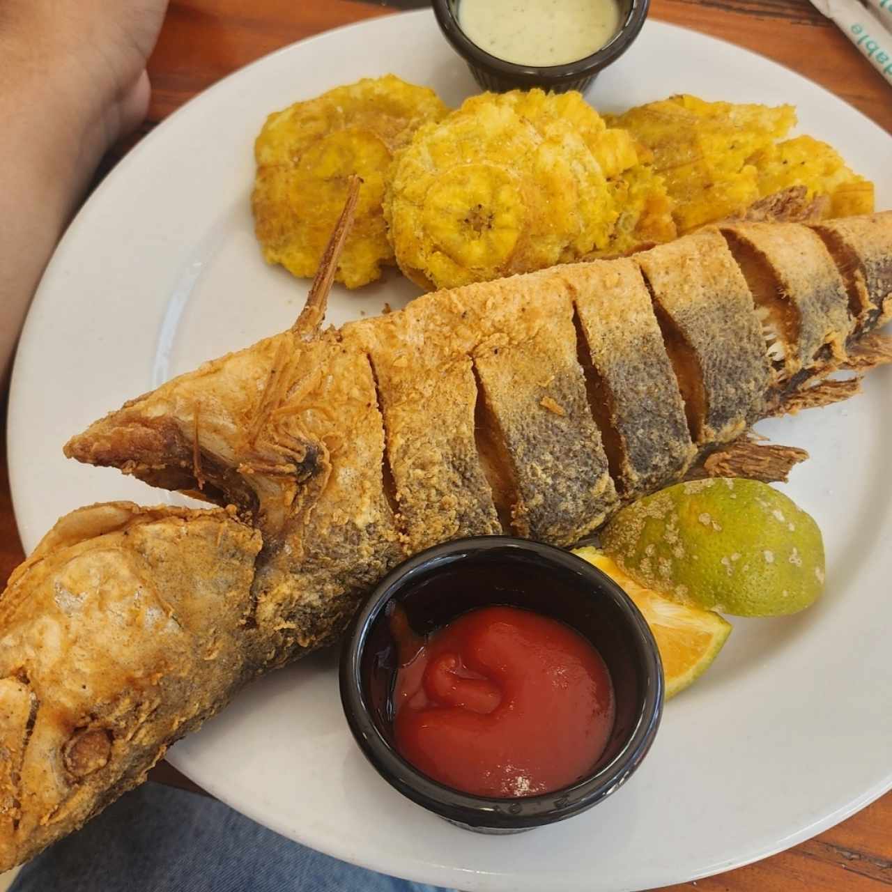 Grill - Corvina Frita