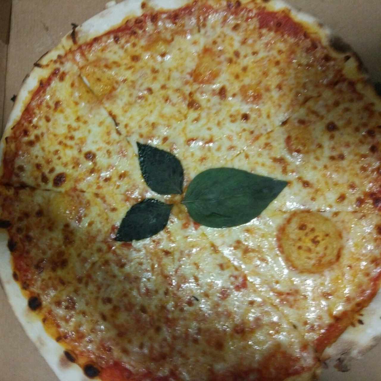 margarita