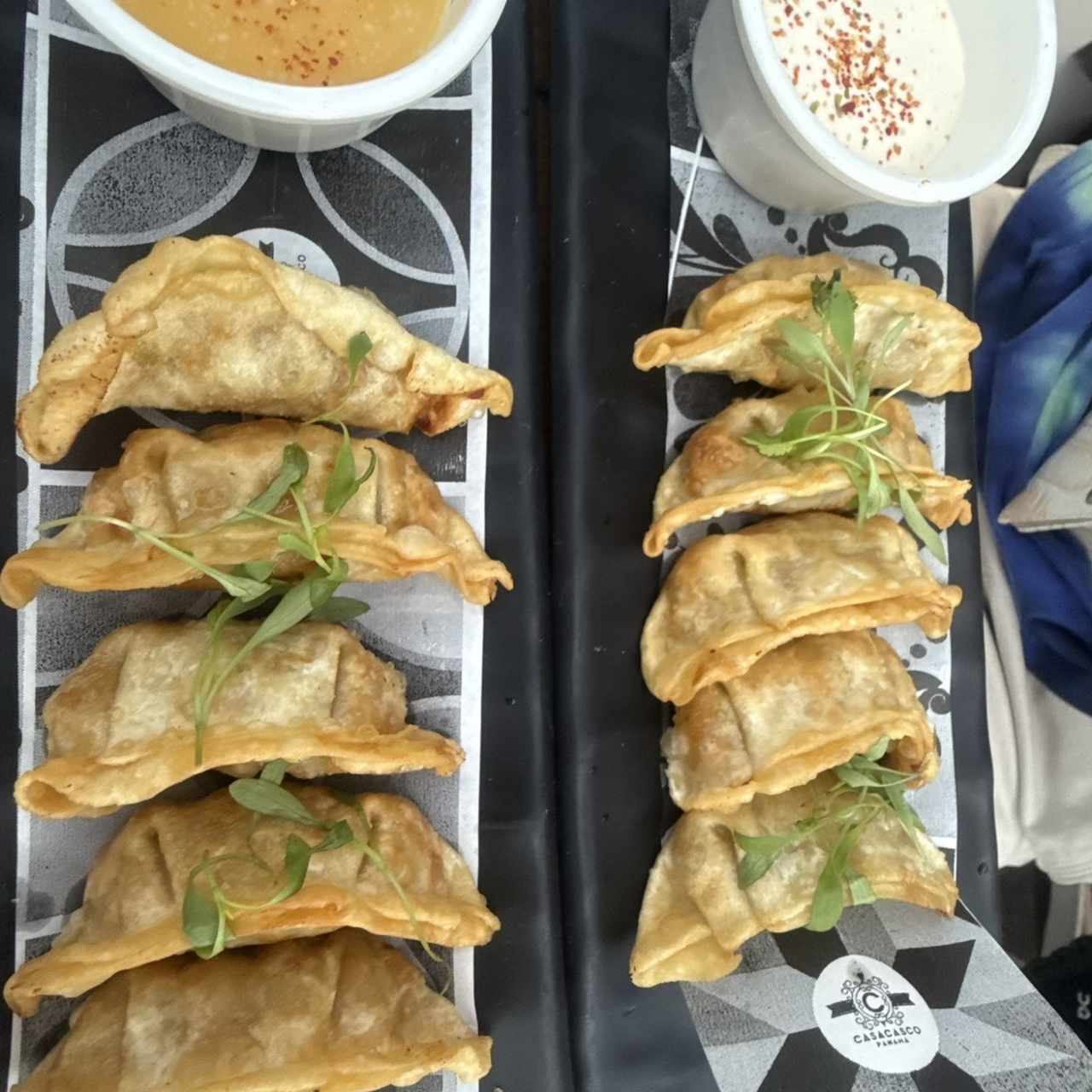 PARA COMPARTIR - GYOZAS