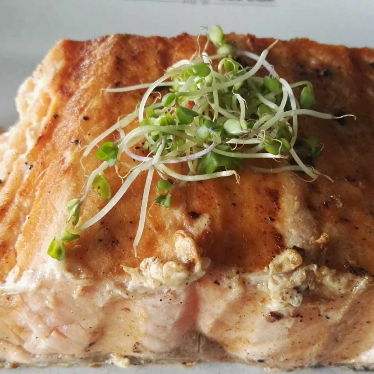 Salmón