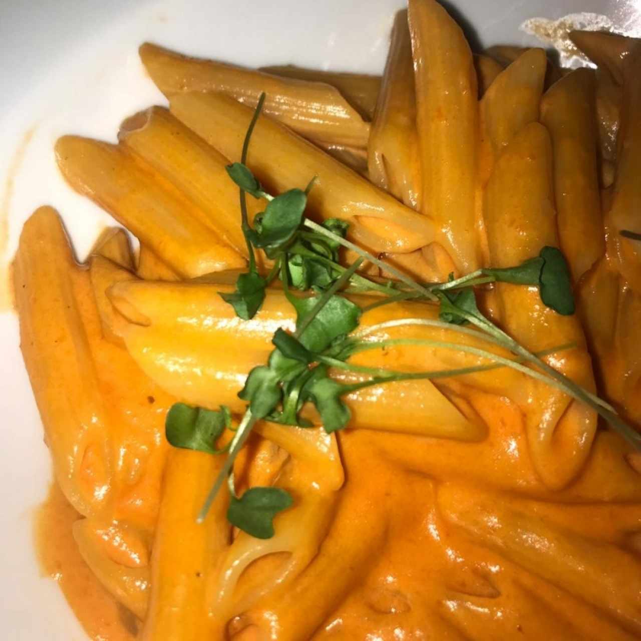 Penne con Salsa Rosada