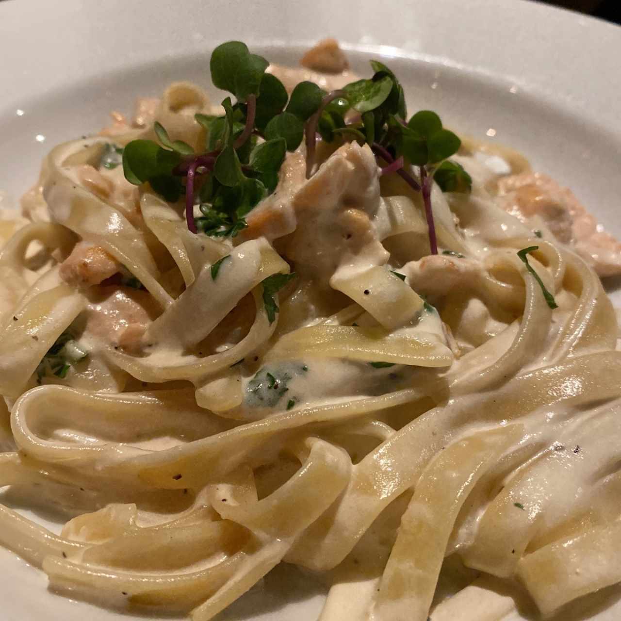 Fetuccini Salmón