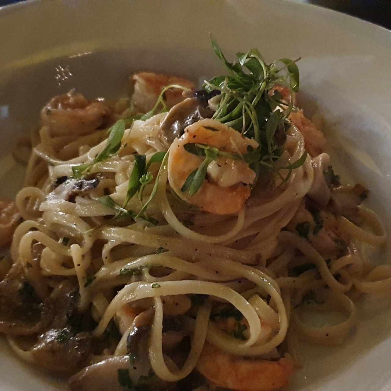 Pasta al óleo Camarones e funghi