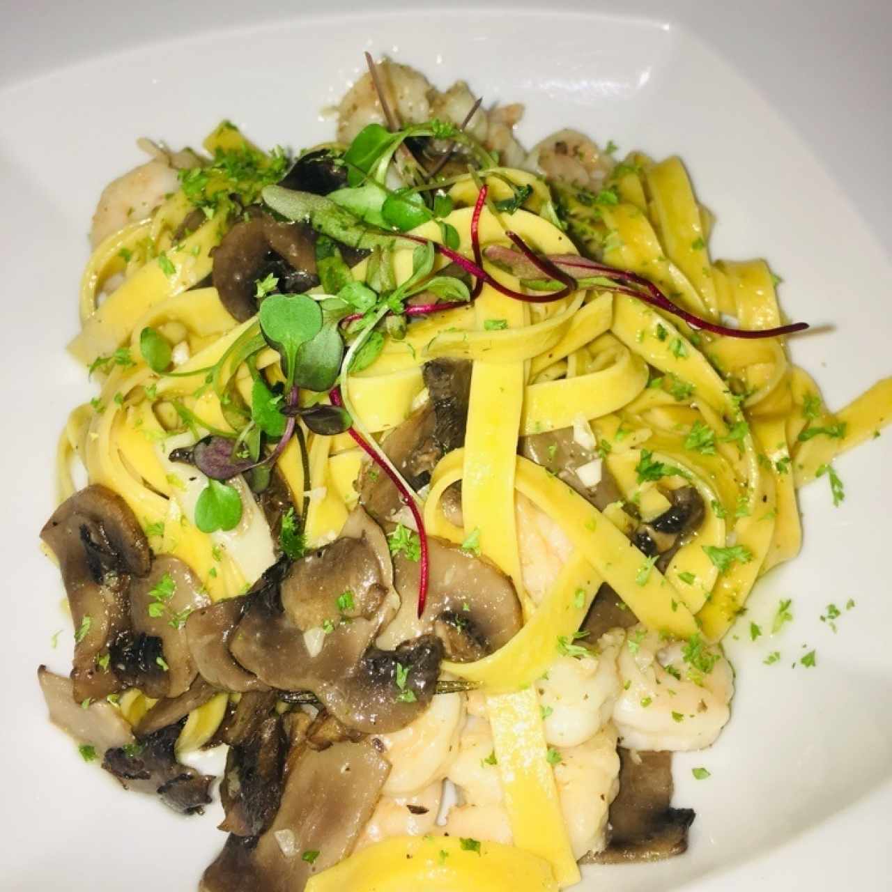 Fettuccine al Oleo con camarones 